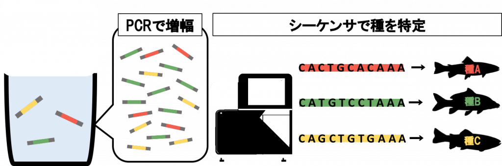 japaneseclass jp